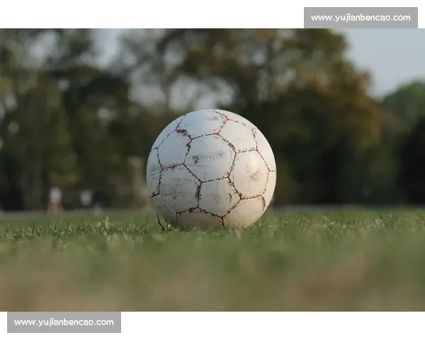 高清稳定流畅的足球直播APP下载安装到手机即看全球赛事精彩 - 副本 (36) - 副本 - 副本 - 副本